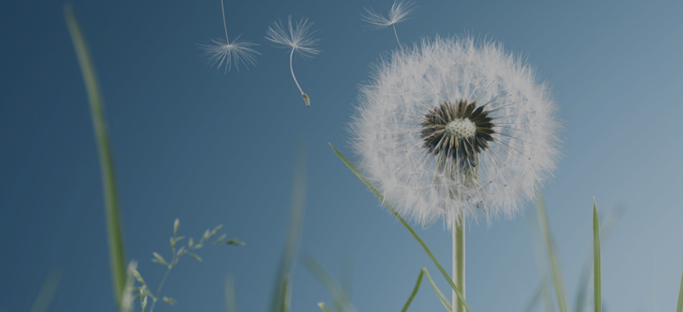 云顶集团·(中国)手机版app下载